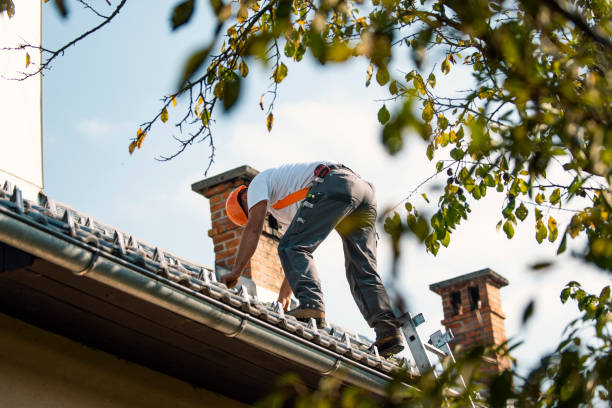 Best Roof Inspection  in Wales, WI